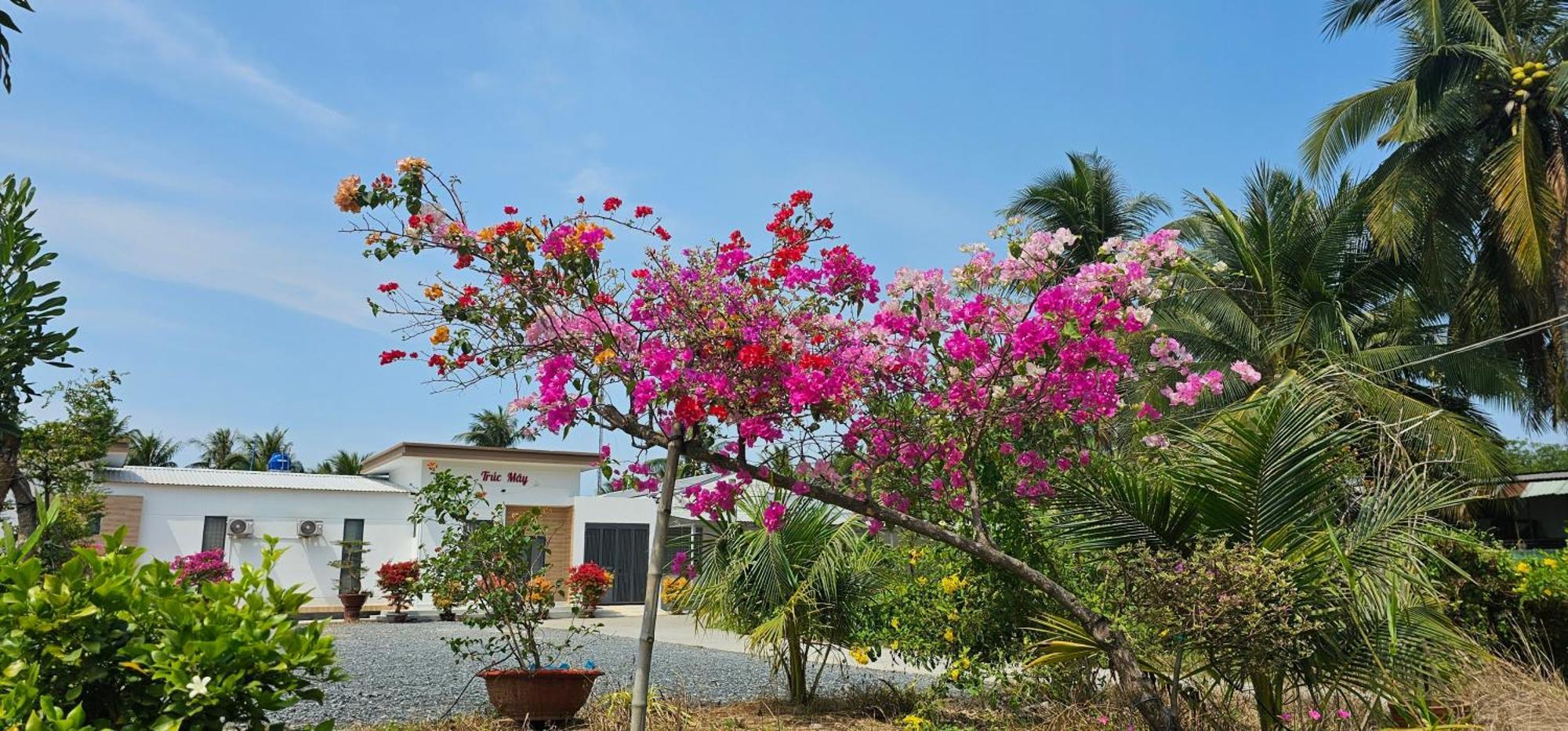 Nha Nghi Truc May Ben Tre 外观 照片